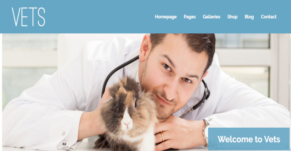 vets–-veterinary-wordpress-theme