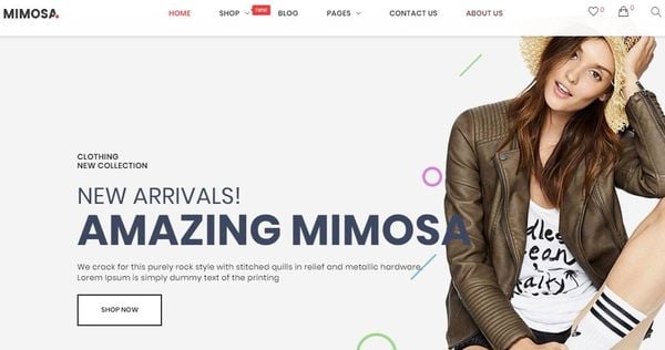 19+ Fashion Designer WordPress Themes and Templates [ Download Now ]