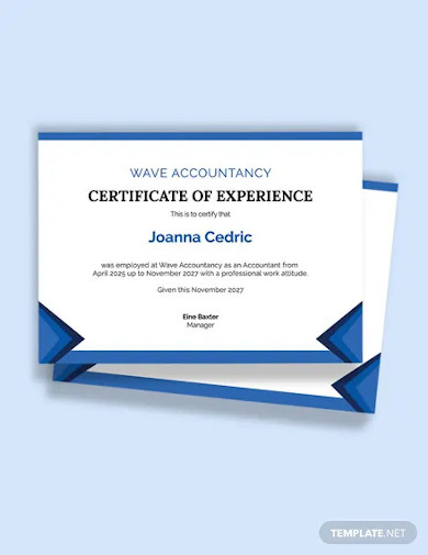 accountant job experience certificate template