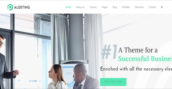 auditng wordpress theme for financial assistance
