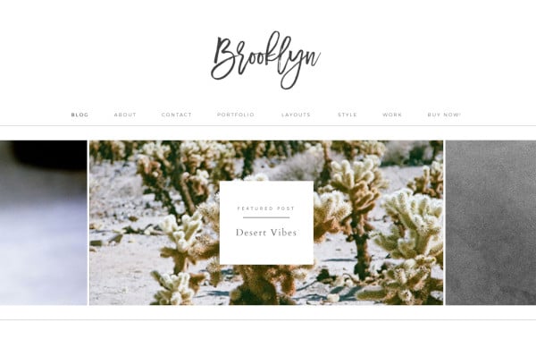 brooklyn-–-highly-responsive-wordpress-theme