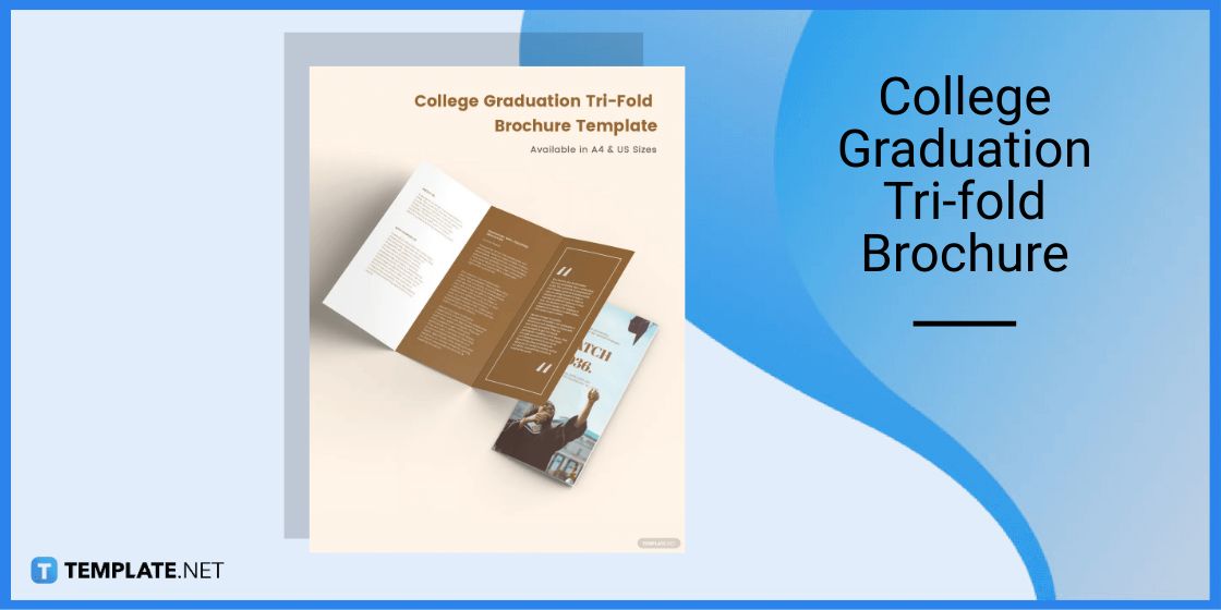 college graduation tri fold brochure template