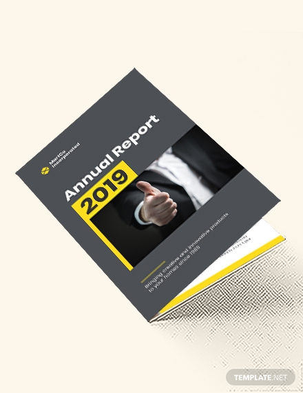 company annual report brochure example