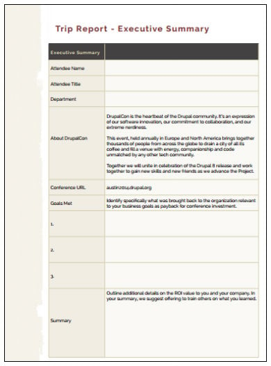Business Analyst Report Template