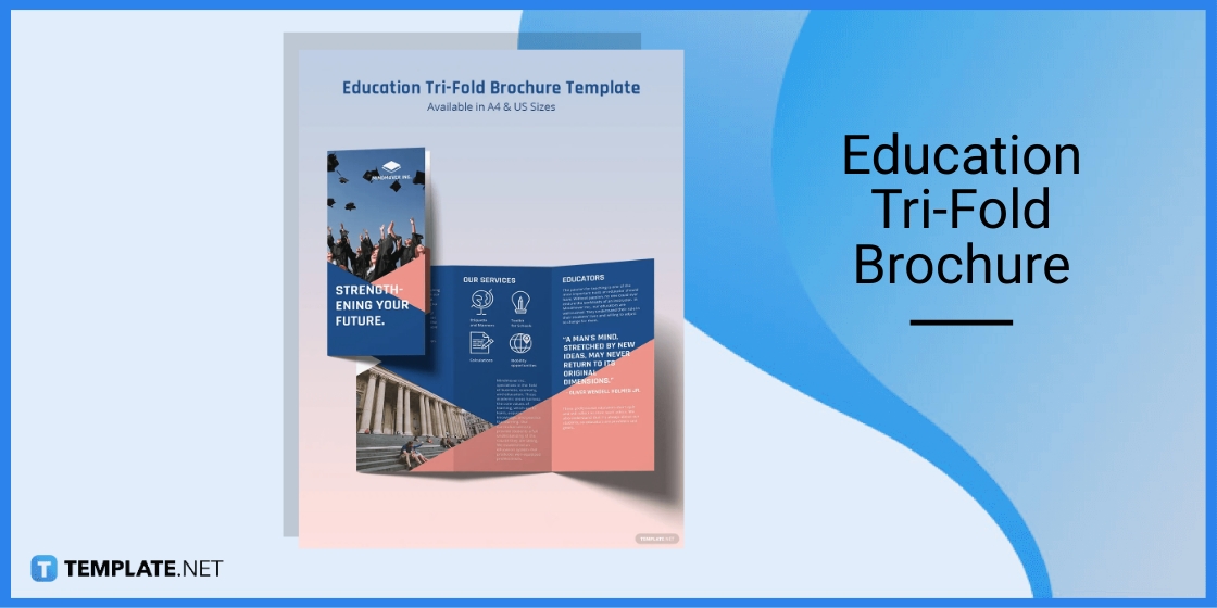 education tri fold brochure template