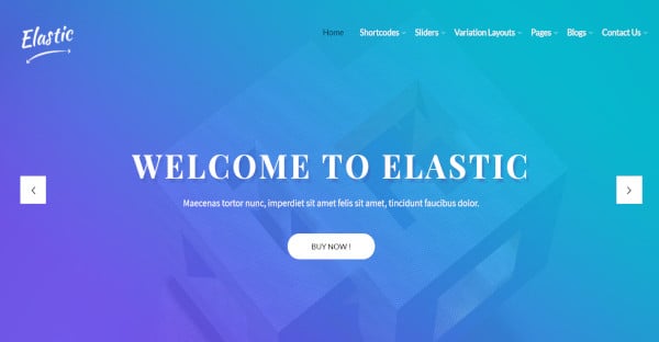 elastic-pro-–-custom-wordpress-theme