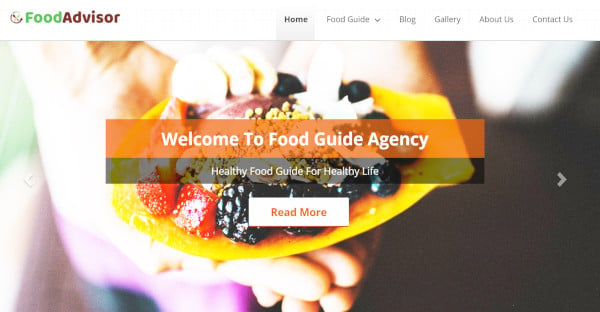 food advisor – custom wordpress theme