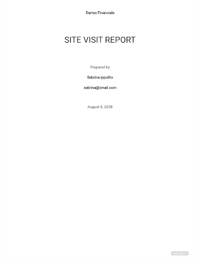 Image 2 for Site Visit Report Template