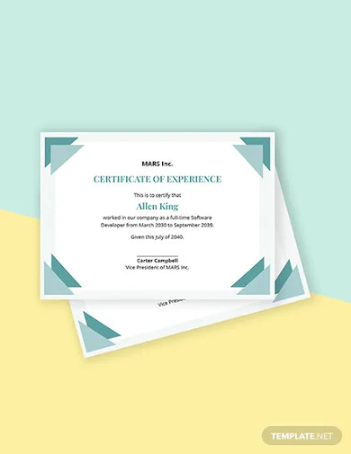 it experience certificate template