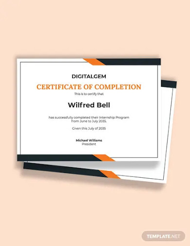 internship experience certificate template