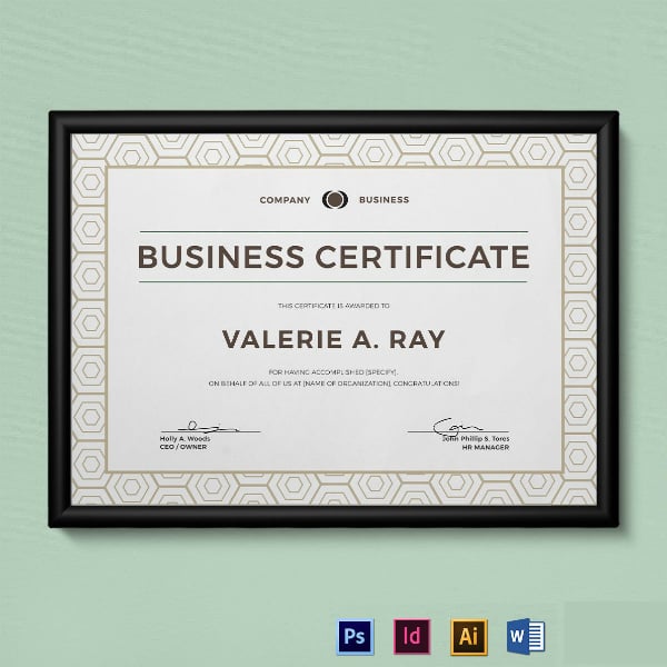modern editable business certificate template