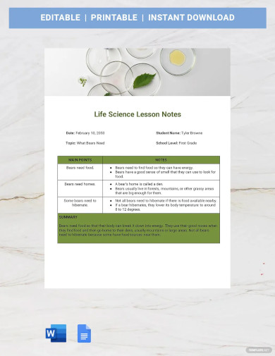 30+ Lesson Note Templates - PDF