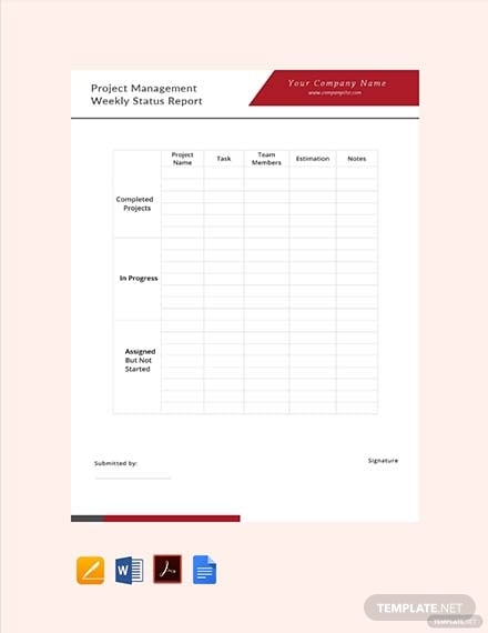 project-management-weekly-status-report-template