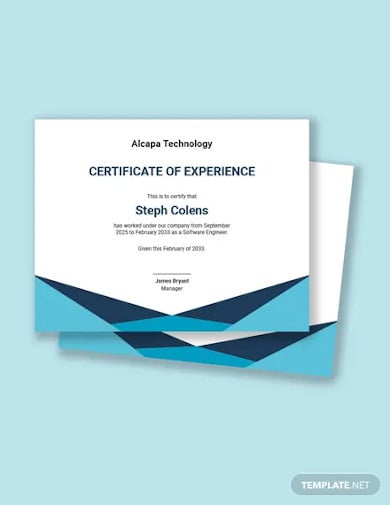 software experience certificate template