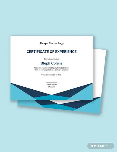 software experience certificate template