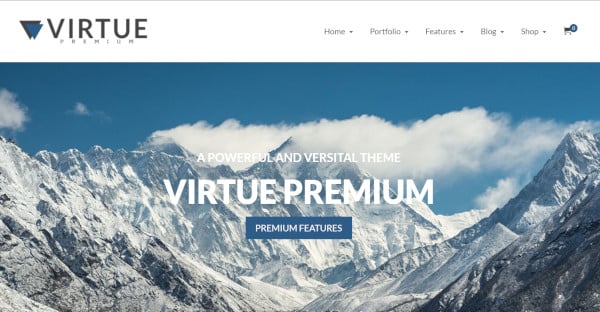 virtue versatile wordpress theme
