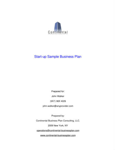 business-plan-sample-01