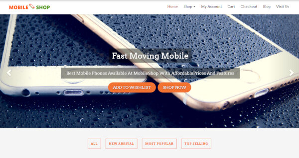 5-mobile-supermarket-wordpress-theme-–-just-another-demo-theme-sites-site1