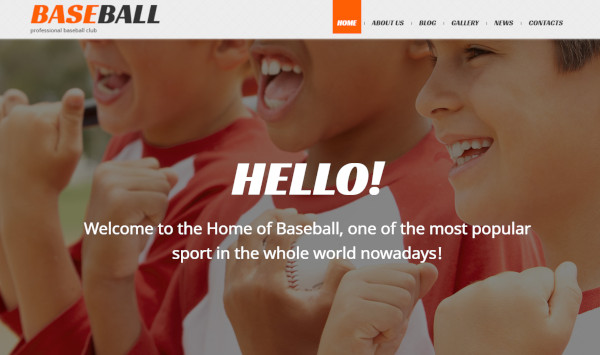 baseball – user friendly wordpress theme