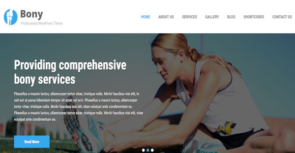 bony – highly responsive wordpress theme