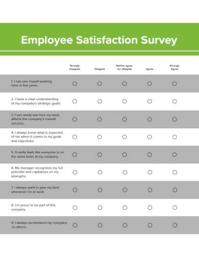 employee satisfaction survey example