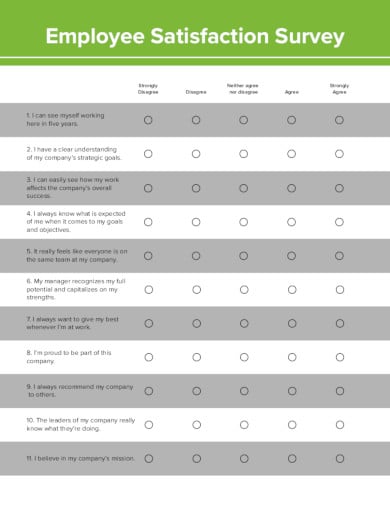 employee satisfaction survey in pdf