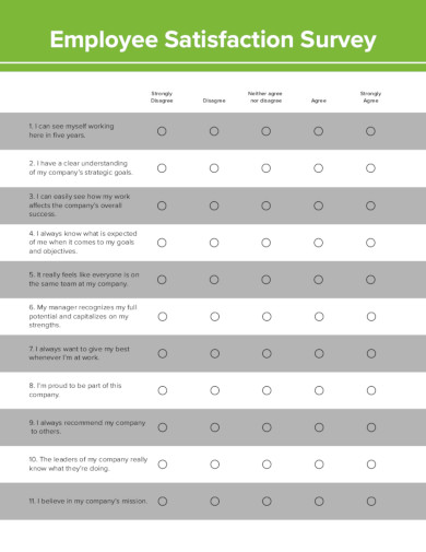 19+ Satisfaction Survey Templates in Google Docs | Word | Pages | PDF | XLS