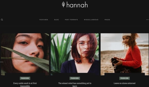 hannah live customizer wordpress theme
