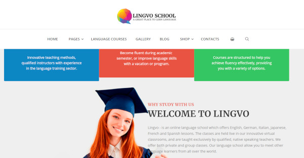 lingvo – responsive wordpress theme