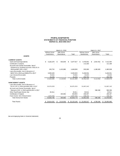 11+ Non Profit Financial Statement Templates in PDF