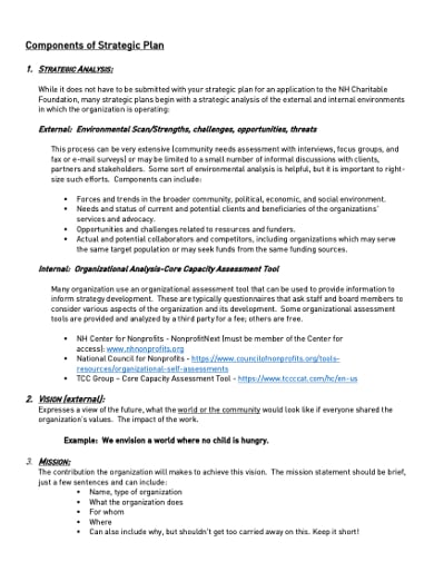 11 Nonprofit Strategic Plan Templates In Pdf Doc 3775