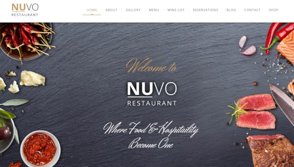 nuvo-–-html-compatible-wordpress-theme