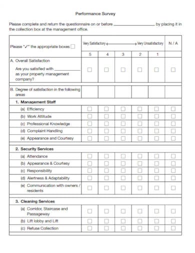 performance-survey-form-example