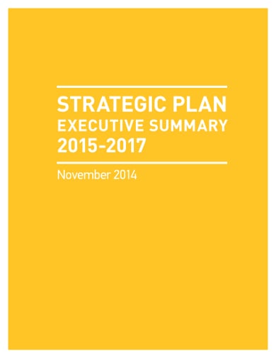 professional-nonprofit-strategic-plan