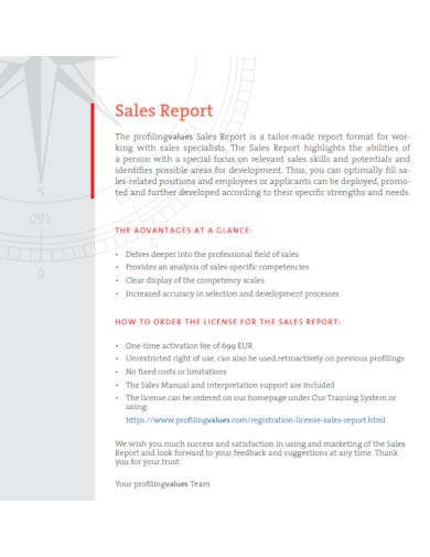 sales report example