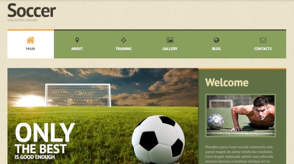 soccer – translation ready wordpress theme