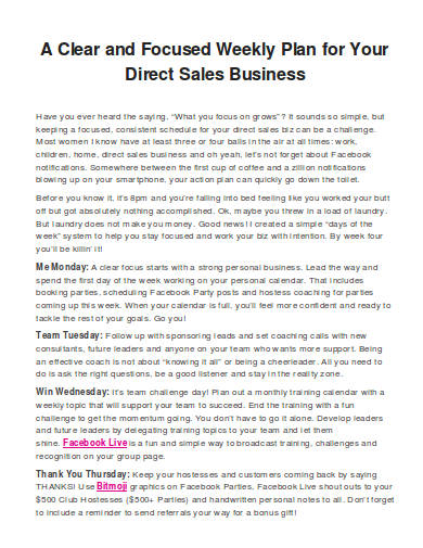 weekly plan for sales business
