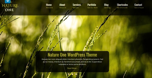 21+ Best Nature WordPress Themes and Template [ Download Now ]