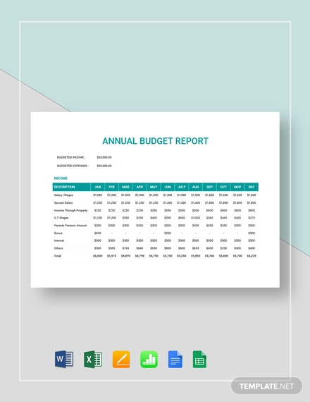 Image 13 for Annual Budget Report Template