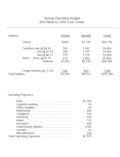 basic day care annual operating budget