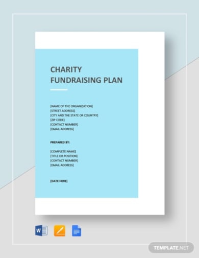 charity fundraising plan sample template
