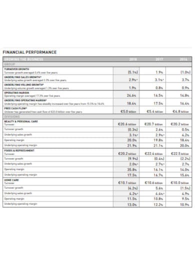 company annual financial report