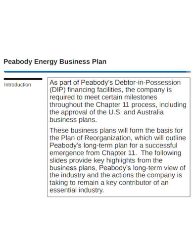 company business plan format