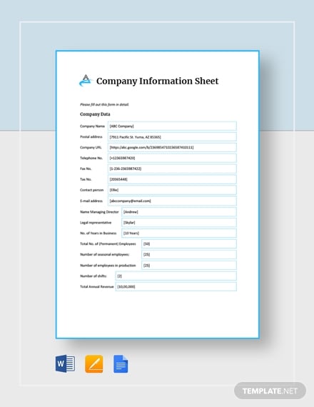 company information sheet template