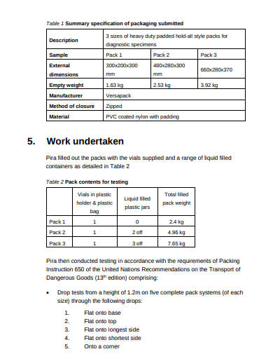 17+ Consulting Report Templates in Google Docs | Word | Pages | PDF