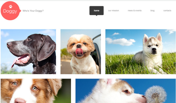 doggy seo friendly wordpress theme