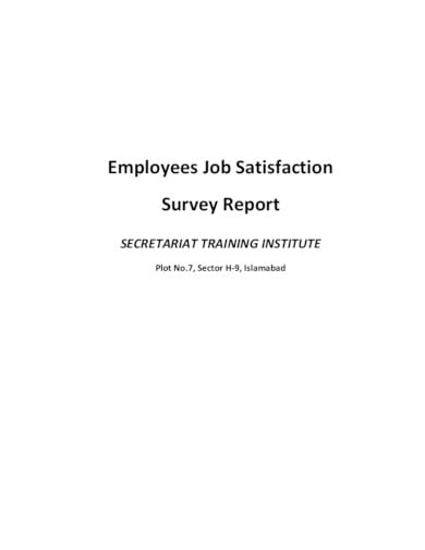 employee job satisfaction survey report