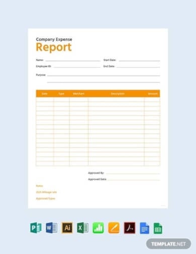 free company expense report