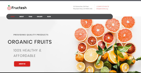 fructesh-–-seo-optimized-wordpress-theme