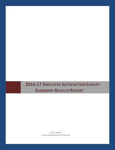 job satisfaction survey format in pdf